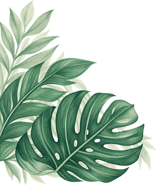 Tropical green leaves