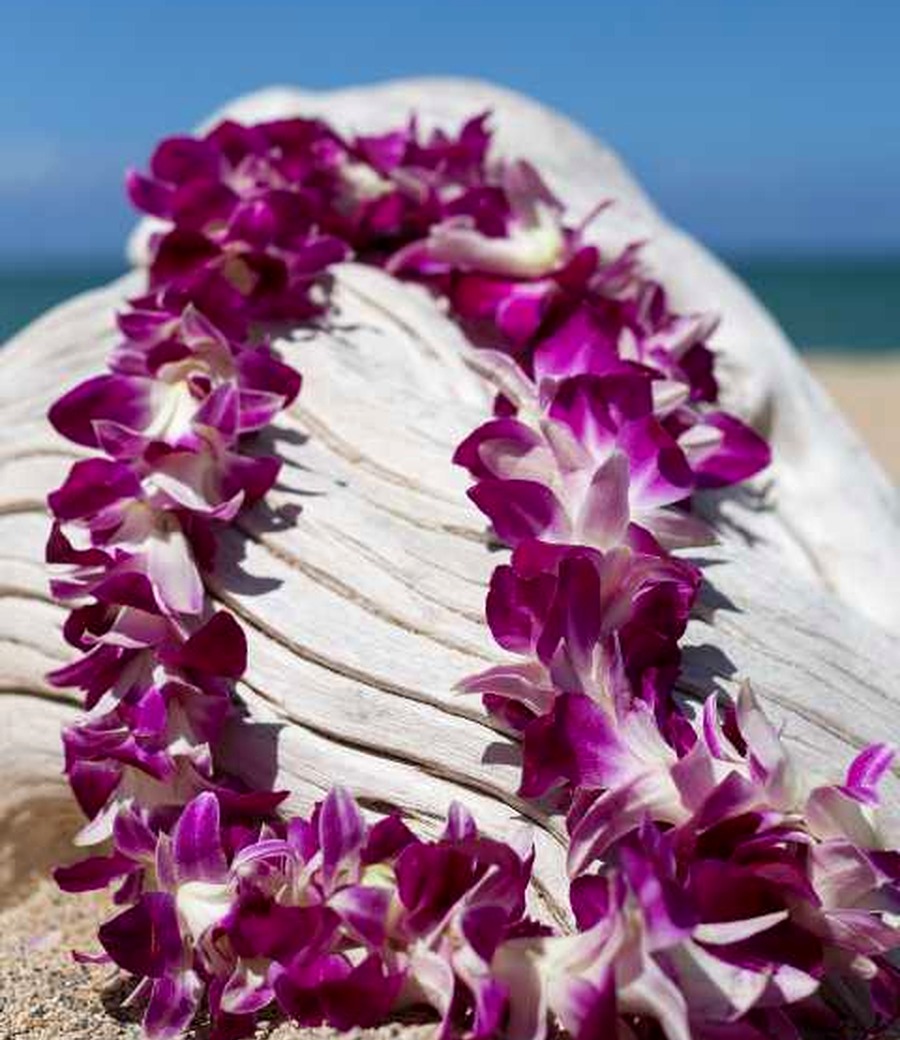 Standard purple flower lei