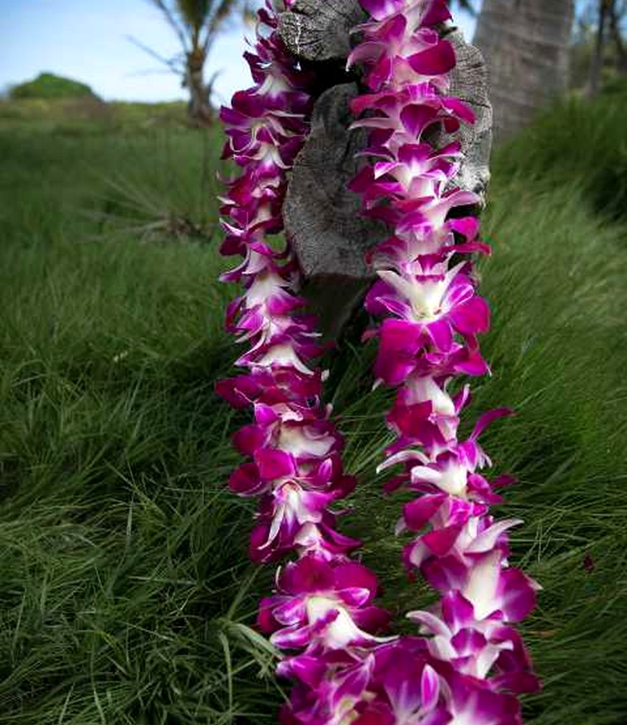 Superior purple flower lei